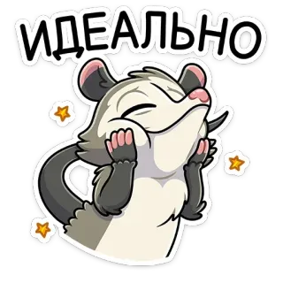 🥰 ИДЕАЛЬНО Zarigüeya, Estrellas, Lindo, Perfecto, Ideal, Animal telegram sticker