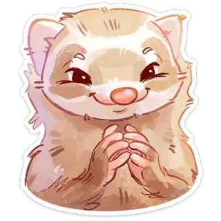 ⭐ furão, animal, fofo, adesivo, mamífero, animal de estimação telegram sticker
