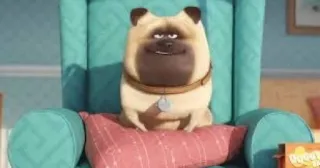🐰 Mel The Secret Life of Pets perro, carlino, dibujos animados, mascota, animal, silla whatsapp sticker