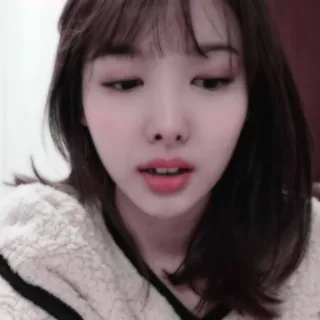 🐰 whatsapp sticker