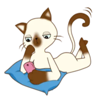📱 gatto, animale, siamese, cartone animato, telefono, cuscino blu, rilassato, sdraiato whatsapp sticker