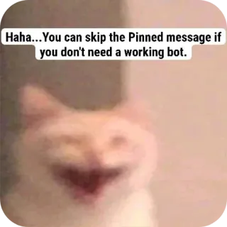 😁 screaming cat Haha...You can skip the Pinned message if you don't need a working bot. telegram sticker