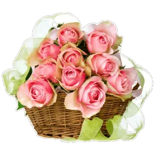🌹 цветы, розы, корзина, цветочная композиция, розовый, букет, природа, сад telegram sticker