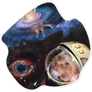 SpaceCats @StikeryTG telegram stickers