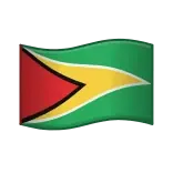 🇬🇾
