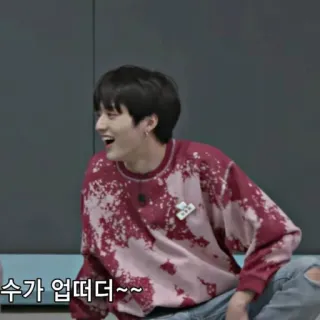 🦦 수가 업떠더~~ kpop, orang, tersenyum, asia telegram sticker