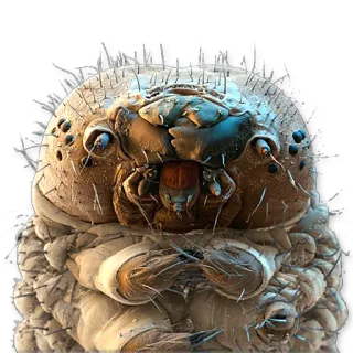 ☺ caterpillar, bug, insect, macro, closeup, creepy telegram sticker