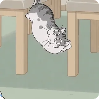 🌟 mèo, dễ thương, hài hước, anime whatsapp sticker