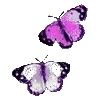 🦋