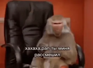 😏 хахаха, рап ты меня рассмешил monkey, ape, chair, office, funny telegram sticker
