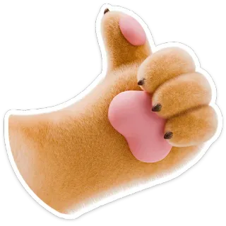 👍 좋아요, 손, 제스처, 긍정, 승인, 동의 telegram sticker
