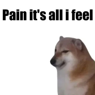 🐶 Pain it's all I feel 도지, 밈, 고통, 슬픔 telegram sticker