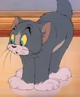 😮 Tom Cat Tom and Jerry Tom Cat, gatto, cartone animato, animazione, Tom e Jerry, gatto grigio telegram sticker