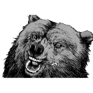 🐻 urso, animal, vida selvagem, mamífero, agressivo, grizzly telegram sticker