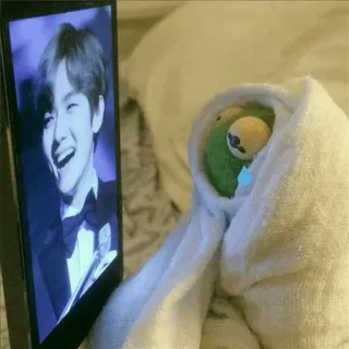 🐸 kermit, fantoche, meme, triste, lágrimas whatsapp sticker