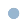 🟡