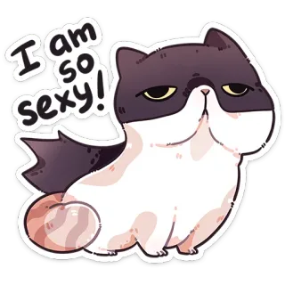 ❤️ I am so sexy! kat, grappig, sexy, sticker, schattig, dier whatsapp sticker