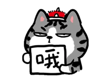 🙁 哦 mèo, biểu cảm, hài hước, hoạt hình, nhãn dán telegram sticker