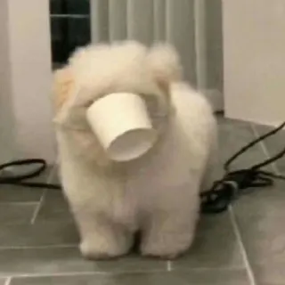 🫥 cane, cucciolo, carino, animale, animale domestico, tazza, soffice telegram sticker
