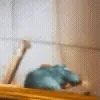 🤢