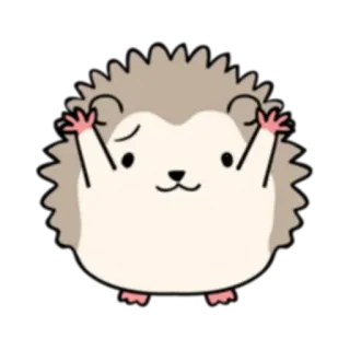 🙌 erizo, dibujos animados, animal, lindo, pegatina telegram sticker