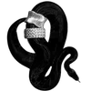🐍