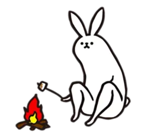 rabbit with really beautiful legs telegram stickers