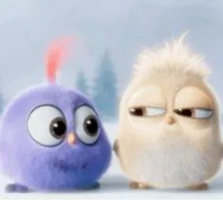 😒 vogels, schattig, dieren, cartoon, animatie whatsapp sticker