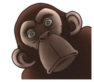😶 macaco, primata, animal, primata telegram sticker