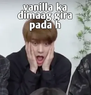 👀 vanilla ka dimaag gira pada h telegram sticker