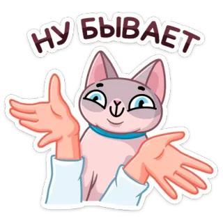 🤷‍♀️ НУ БЫВАЕТ gatto, scrollata di spalle, sticker, russo, meme, gattino telegram sticker
