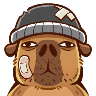 🔥 카피바라, 동물, 만화, 붕대, 모자, 귀여운 telegram sticker