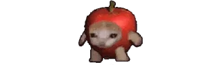 🌟 яблоко, собака, костюм, милый, смешной, животное whatsapp sticker