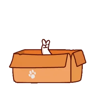 ✌️ gato, animal, animal de estimação, caixa, papelão, fofo whatsapp sticker
