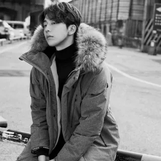 🇦🇱 uomo, cappotto invernale, ritratto, monocromatico, esterno, moda telegram sticker