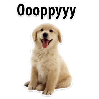 😊 Oooppyyy dog, puppy, golden retriever, animal, cute, pet telegram sticker