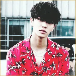 📰 男人, 肖像, 韩流, 亚洲人, 衬衫, 珠宝 telegram sticker
