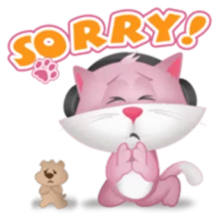 😞 SORRY! scusa, gatto, carino, mi dispiace, animale telegram sticker