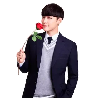 🌹 uomo, abito, rosa, fiore, formale, coreano telegram sticker