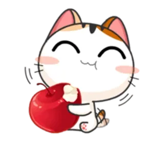 🍎 gato, animal, cereja, fofo, desenho animado telegram sticker