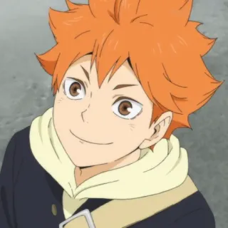 ☀️ Hinata Shoyo Haikyuu!! anime, hinata, haikyuu, shoyo, volleyball telegram sticker
