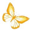 🦋