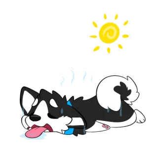 🔥 cachorro, quente, exausto, verão, sol, desenho, fofo telegram sticker