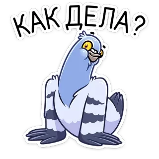 ⁉️ КАК ДЕЛА? pájaro, paloma, saludo, ruso, ¿qué tal?, pregunta, mono telegram sticker