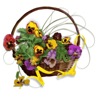 🌹 цветы, корзина, цветочный, анютины глазки, букет, весна, природа, декоративный telegram sticker
