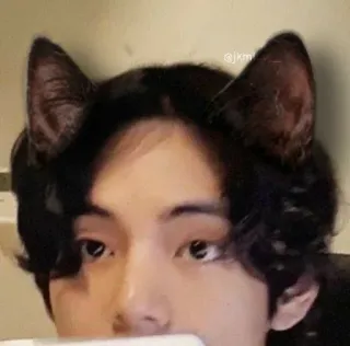 🍰 pessoa, orelhas de gato, selfie, jovem adulto telegram sticker