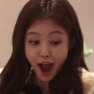 — blackpink — telegram stickers