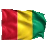 🇬🇳