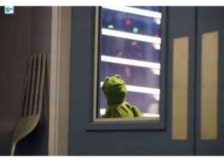 😯 Kermit the Frog Muppet, rana, verde, finestra, pupazzo telegram sticker