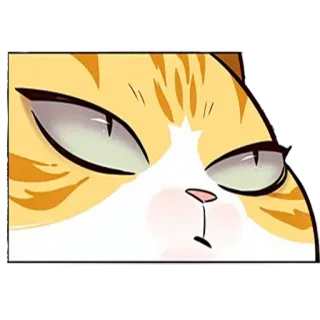😶 kucing, marah, meme, binatang, stiker telegram sticker